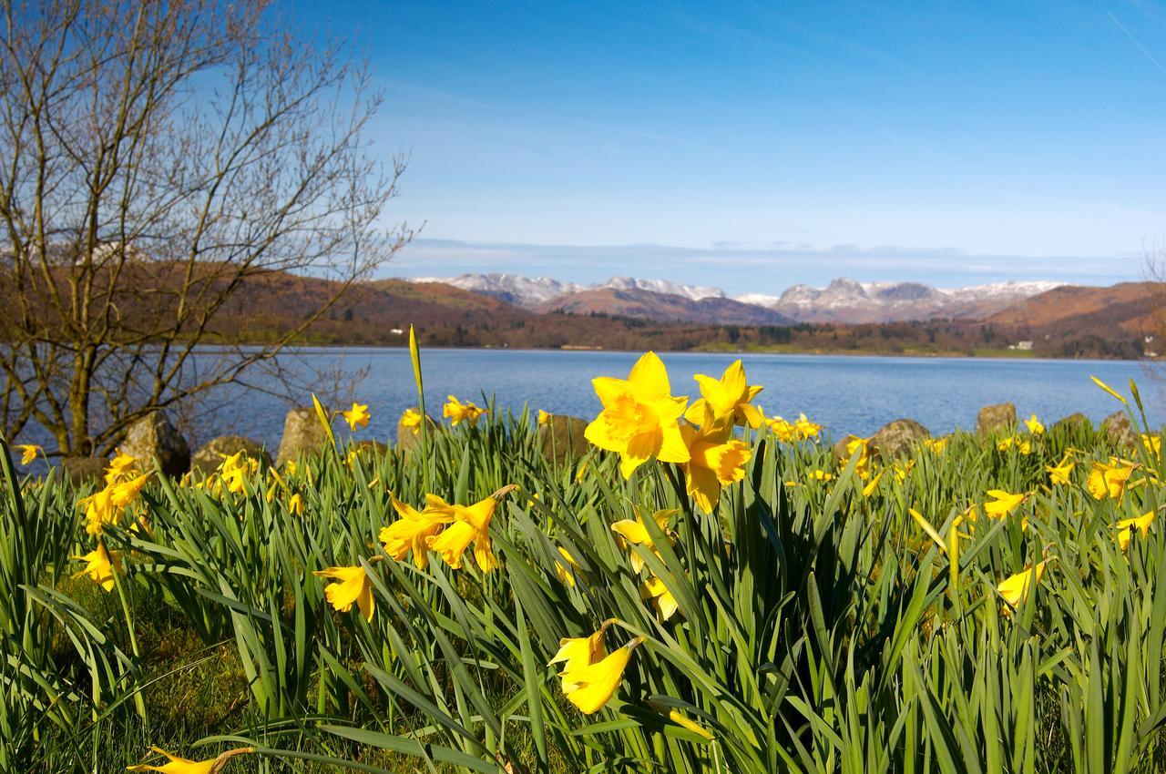 Ivythwaite Lodge Guest House Windermere Eksteriør billede
