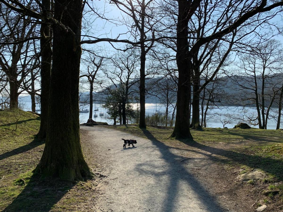 Ivythwaite Lodge Guest House Windermere Eksteriør billede